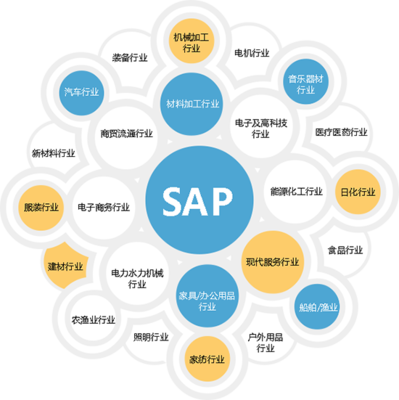 杭州SAP ERP軟件 企業(yè)數(shù)字化轉(zhuǎn)型的智慧選擇與專業(yè)咨詢指南